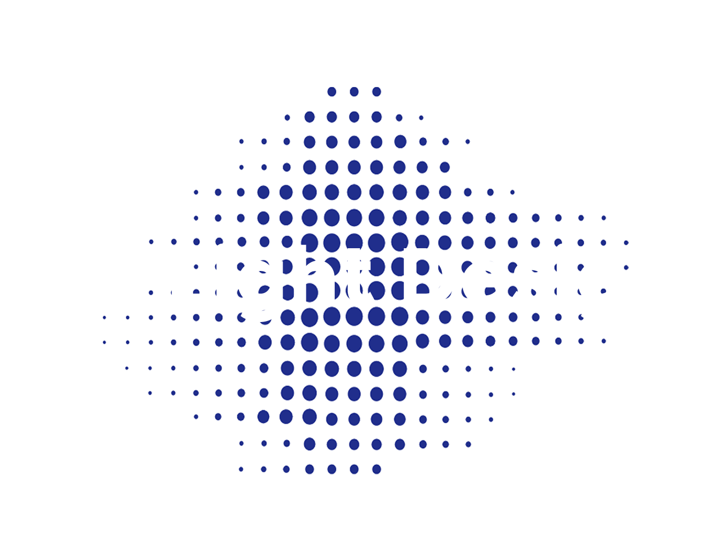 NI Light Design